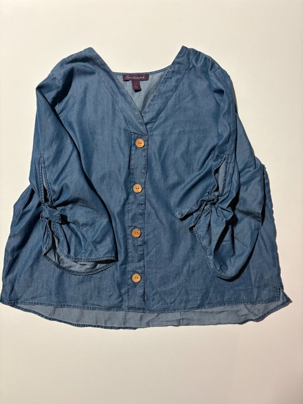 Gloria Vanderbilt Joan Chambray V Neck Tie Sleeve Blouse 2X Plus